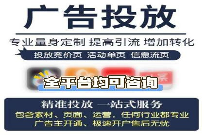 SEM优化技巧：实战案例深度剖析